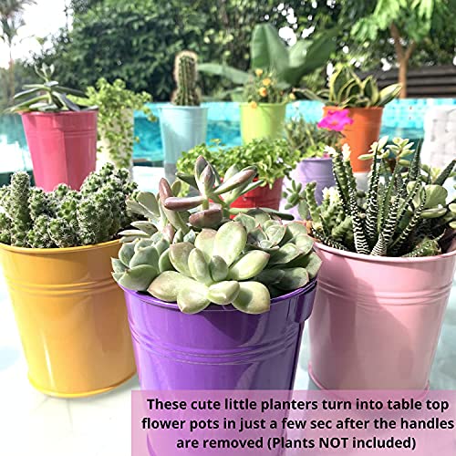LaLaGreen Colorful Rail Planter (4 in, 10 Pack) Metal Fence Railing Pot - size: 4 Inch (Multi-A)