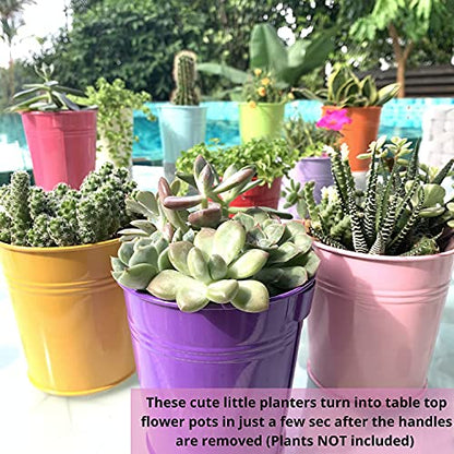 LaLaGreen Colorful Rail Planter (4 in, 10 Pack) Metal Fence Railing Pot - size: 4 Inch (Multi-A)