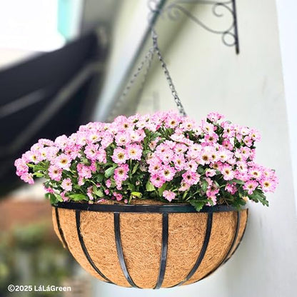 LaLaGreen Black Hanging Baskets (20 in, 4 Pack) Metal Plant Pots with Chain - size: 20" (51cm) x 4 Pack