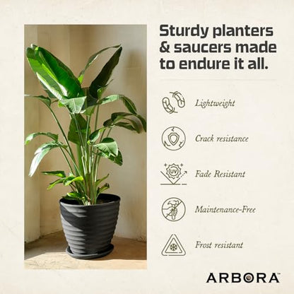 ARBORA 11" Plant Saucer for Planters with 8 Inch Base or Less - size: 11"