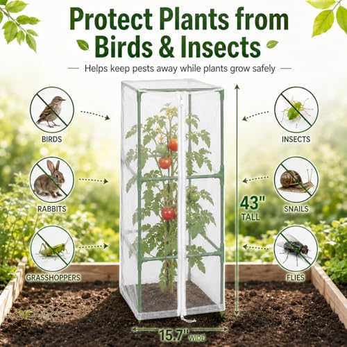 Halatool Garden Tomato Plant Cover Netting, Fits 40–50" Square Tomato Cages - color: 2 Pack, size: 43 inch
