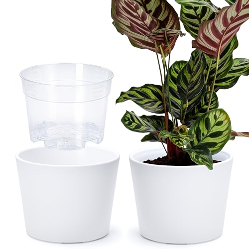 Phoenix Vine 6.6 Inch White Plastic Cachepot with Clear Nursery Pot, Decorative Lightweight Planter Cover with Transparent Inner Pot for Indoor Houseplants, Pack of 2, 24-C-D-2 - color: Matte White, size: 6.6" (2 Pack)