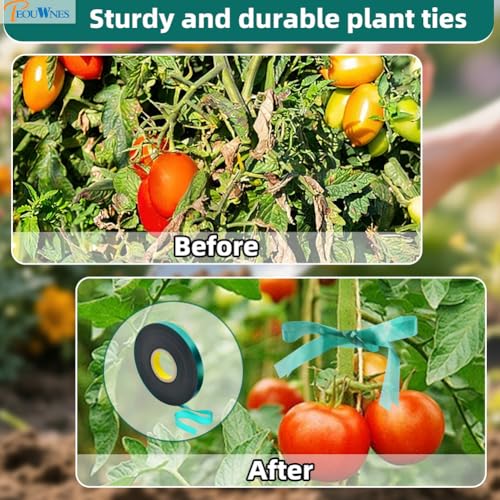 300 FEET x 1/2" 4mil Thick Stretch Non-Adhesive Tie Tape, Green Plant Garden Tie, Plant Ribbon for Branches, Climbing Planters, Flowers - size: 1/2 Inch Wide