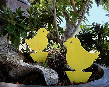 Yellow Sticky Fly Traps (25 Pack) for Gnat Whitefly Fungus Gnat Aphid Small Insects - Houseplant Disposable Glue Trappers - Bug Catcher - Bird Shape - color: Bird 25 Pack