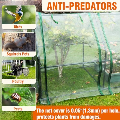 Gardzen Mini Greenhouse with Zipper Mesh Cover 71.7"(L) x36.2(W) x42.5(H) - size: 71”(L) x36”(W) x42”(H)
