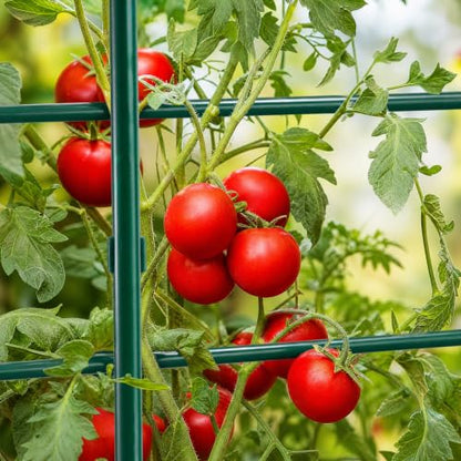 Xiny Tool Garden Stakes, 25 Pack 4 Ft Steel Plant Garden Tomato Stakes with Plastic Coat for Climbing Plants (25 Pack 48 Inch) - size: 48 Inch