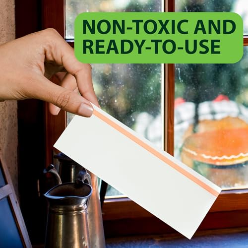 Greenway Window Fly Traps, 3 Packs (Includes 12 Traps) - size: 3 Packs (Includes 12 Traps)