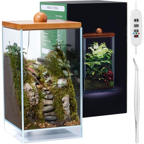 Large Glass Plant Terrarium: 13.7H+7.8W Terrarium with Light - size: H-13.7IN