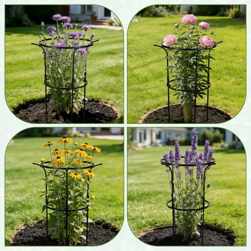 VICAMB 3 Pack Large Peony Cages and Supports,28" H x 17" D Grow Through Plant Support Rings,Plastic Rings with Stainless Steel Core Stakes for Peonies,Roses and Top-Heavy Blooms