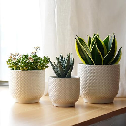 4 + 5 + 6 Inch Ceramic Pots for Indoor Plants, Succulents Plant Pots, Orchid Flower Pot with Drainage Hole, Modern Clay Stoneware Planters, Set of 3 (White, 4+5+6 Inch) - color: White