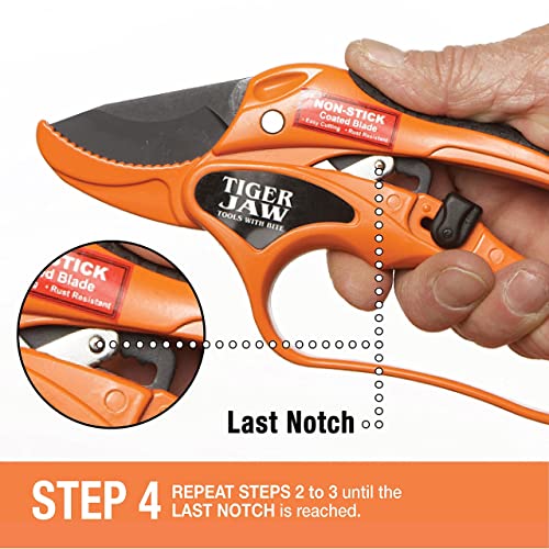 P3 Ratcheting Hybrid Bypass MEDIUM TO LARGE HANDS Anvil Blade Design Heavy Duty Metal Hand Pruner With Knuckle Guard Cuts Green Or Dead Wood Up To 1 Inch