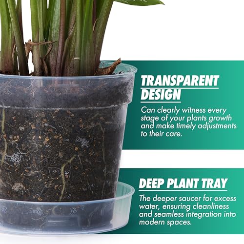 6 Inch Clear Plastic Plant Pot with Drainage Holes, Interlocking & Detachable Tray - Deep Saucer - Durable BPA-Free Plastic, Transparent Design, Raised Base for Airflow, Set of 6, 92-X-A-5 - size: 6" x 5.5"