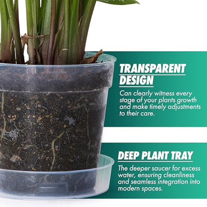 6 Inch Clear Plastic Plant Pot with Drainage Holes, Interlocking & Detachable Tray - Deep Saucer - Durable BPA-Free Plastic, Transparent Design, Raised Base for Airflow, Set of 6, 92-X-A-5 - size: 6" x 5.5"