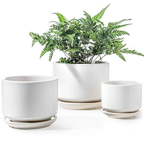 LE TAUCI Ceramic Pots for Plants, 4.3+5.3+6.8 Inch, Set of 3, White - color: White, size: 4.3"+5.3"+6.8"