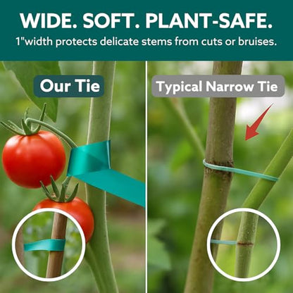 Plant Tie Tape, 1 in x 197 ft Stretchable Green Garden Tape for Plants, Soft Non-Adhesive PVC Plant Ties for Tomatoes, Grapes, Vines, Trees, Branches & Climbing Plants, 2 Rolls - size: 394 ft