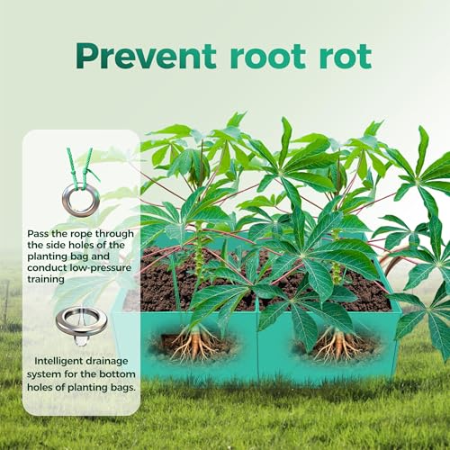 2 Pack 8 Gallon Divided Flexible Rectangular Grow Bags, Outdoor - size: 8 gallon