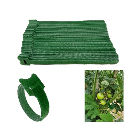 100 Pcs Hook&Loop Garden Plant Cable Ties, 8 Inch Garland Ties Plant Cable Straps, Adjustable Garden Nylon Tie for Supporting Climbing Plants, Vines, Gardening, and Office Use (Green)