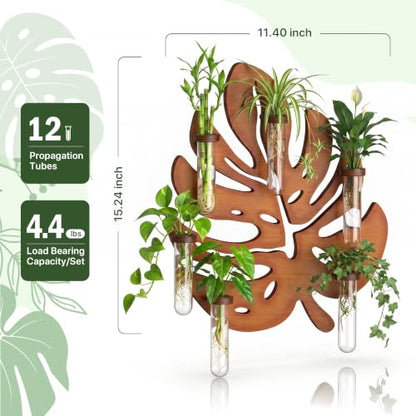 2 Pack Monstera Hanging Wall Planter, Plant Propagation Station - size: 2 Pack