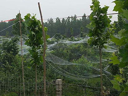 Anti-Aging Orchard Anti-Hail Netting Vegetable Garden Hail Protect Netting,16.3x30ft - size: 16.3x30ft