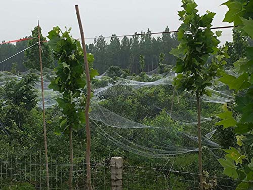 Anti-Aging Orchard Anti-Hail Netting Vegetable Garden Hail Protect Netting,26.2x19.5ft - size: 26.2x19.5ft