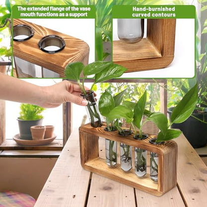 Glass Plant Propagation Station with 5 Test Tubes Colorful Planter Vase - color: Gray