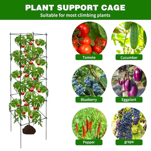 6 Packs Tomato Cages for Garden, 12"×12"×48" Plant Support Cage with Different Spacing, Green Metal Trellis for Climbing Plants Like Cucumber, Flowers - size: 12"×12"×48“ 6 Packs