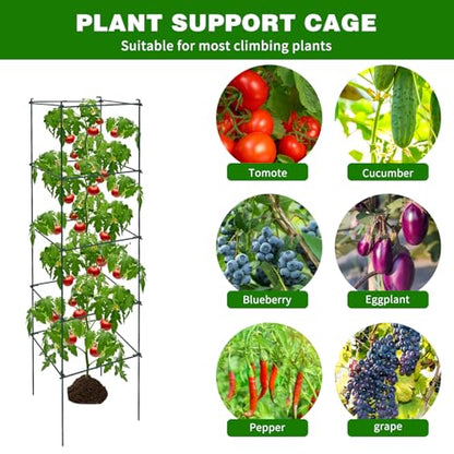 6 Packs Tomato Cages for Garden, 12"×12"×48" Plant Support Cage with Different Spacing, Green Metal Trellis for Climbing Plants Like Cucumber, Flowers - size: 12"×12"×48“ 6 Packs