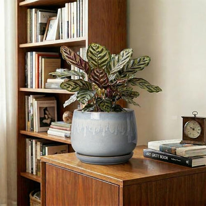 7 Inch Planter Indoor, Ceramic Pots for Plants, Grey-White - size: 7 Inch, style: Grey-white
