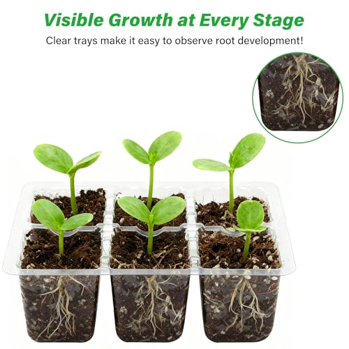 Bonviee 10-Pack Seed Starter Trays, 6-Cell Insert Trays, Clear - color: Clear, size: 10 Packs (60 XL Cells)