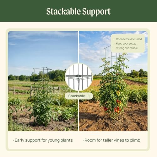Vego 3-Panel Tomato Cage for Garden & Pots, Rust-Resistant Tomato Stakes Plant Cage Trellis Support for Climbing Vegetables Plants- 11.5" Triangle 4 Pack - size: 11.5 inch