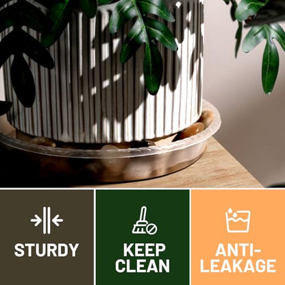 MUDEELA 6-Pack Plastic Plant Saucers Tray for Indoor, 6 Inches, Clear - size: 6" - 6 Pack
