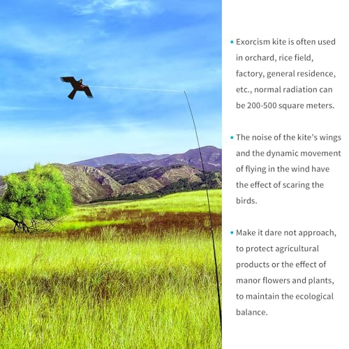 eyijklzo Bird Scarer Hawk Flying Kite with 13ft Telescopic Pole-Black - style: Black-with 4m pole