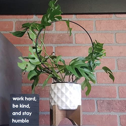 Acrux7 10 Pcs Circle Indoor Plant Trellis for Potted Plants