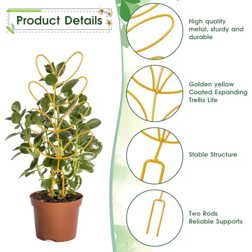 Metal Trellis for Potted Plants, 2 Pack 12'' Small Leaf Shape Plant Climber Supports Mini Garden Trellis Indoor Climbing Plants Stakes Houseplant Accessories for Hoya Vines, Pothos, Flower, Monstera