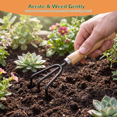 3 Pcs Mini Garden Tool Set with Small Trowel, Mini Shovel & Hand Rake - color: natural wood-3pcs