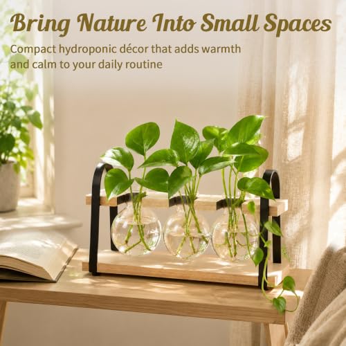 3-Bulb Plant Propagation Station, Glass Vase Terrarium, Retro White - color: White