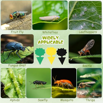 60 Pack Fruit Fly Traps Fungus Gnat Sticky Traps Yellow Black Green Plant Fly Stickers Double Side with Shovel for Indoor Outdoor Kitchen Garden Houseplant Flying Bug Insect (Flower) - style: Flower