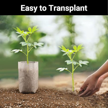 Plant Grow Bags, 400pcs Plant Nursery Bag 5.5 x6.3 Inches, Fabric Seedling Pots Non-Woven Pouch for Potato, Flower, Tomato Plant Starts & Clones, Fruit Protection Bags Home Gardening Supply - color: White, size: 5.5"x6.3"/Pack of 400