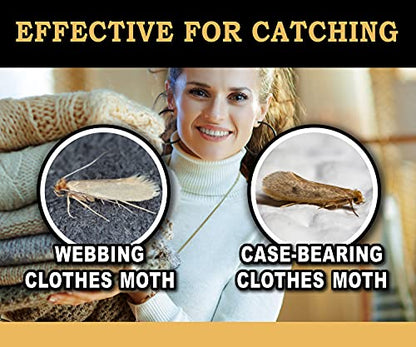 MaxGuard Clothes Moth Traps (6+2 Free Traps) with Extra Strength Pheromones | Non-Toxic Sticky Glue Trap for Closets and Carpet Moths | No Mothballs | Lure, Trap and Kill Case-Bearing Webbing Moths |
