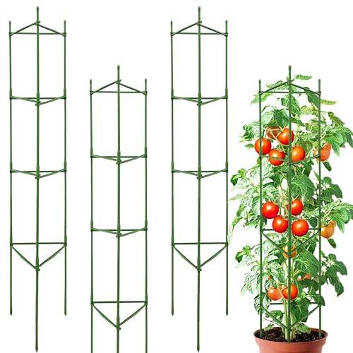 63-Inch Heavy Duty Tomato Cages, 4-Pack Extra Tall Metal Tomato Trellis, Steel Tube Plant Cage for Indeterminate Tomatoes, Cucumbers, Pole Beans – Rust-Proof Coated - color: 4-Pack, size: 63 inch