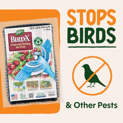 Dalen Bird-X Protective Mesh Netting for Fruit Trees & Berries - 28 x 28 ft - size: 28' x 28'