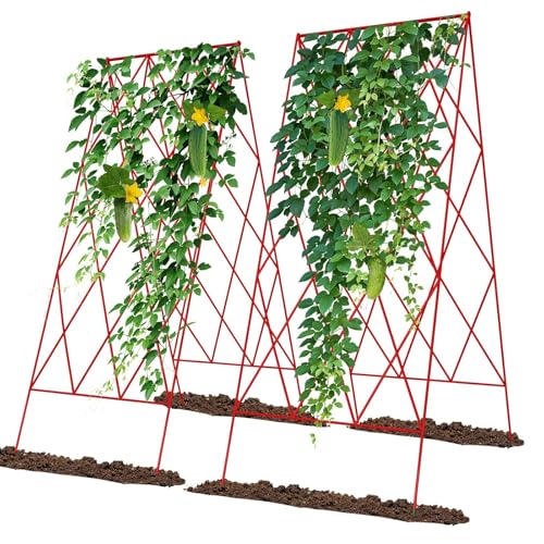 Cucumber Trellis 2 Pack,Foldable A-Frame Garden Trellis - color: Garnet Red, size: 39.4" H