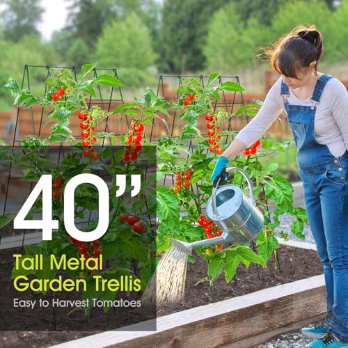 RIFNY Cucumber Trellis for Raised Bed, Garden Trellis 16.5 x 40 Inch, Green - color: Green, size: 16.5 x 40 Inch