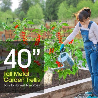 RIFNY Cucumber Trellis for Raised Bed, Garden Trellis 16.5 x 40 Inch, Green - color: Green, size: 16.5 x 40 Inch