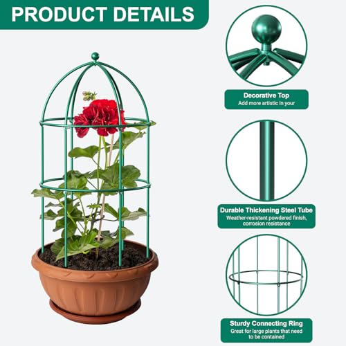 DoCred 6 Pack Peony Cage, 15.7" x 31.5" Metal Plant Support Garden Trellis - size: 31.5"H x 15.7"W/6PC