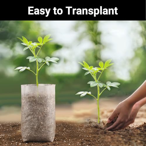 Seedling Grow Bags for Plants Bulk, 6x8 inches Sturdy Non-Woven Nursery Bags, 100PCS Solid Plant Grow Seed Starter Bag, Fabric Seedling Pots Pouches Planting Home Garden Supply - color: White, size: 6.3"x7.8"/Pack of 100