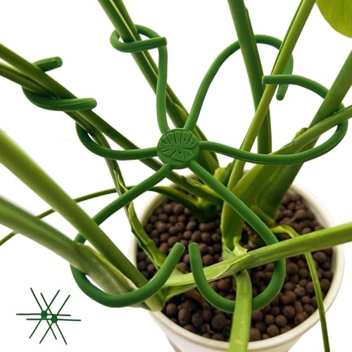 2 Pcs Free-Form Bending Silicone Plant Stem Support, M Size Flexible Hook Monstera Stem Supports, Reusable Silicone Plant Climbing Stakes Indoor Outdoor - color: 2M Green