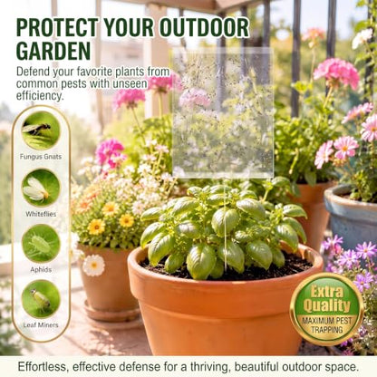 100 Gnat Sticky Traps for Plants, Transparent Double Sided Indoor Outdoor