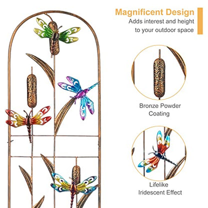 2 Pack Metal Garden Trellis for Climbing Plants - style: Dragonfly