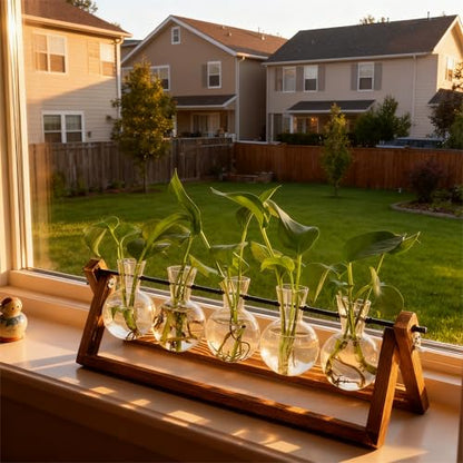 Renmxj Plant Propagation Stations with Wooden Stand & 5 Glass Bulb Vases - size: 5 Bulb Vase